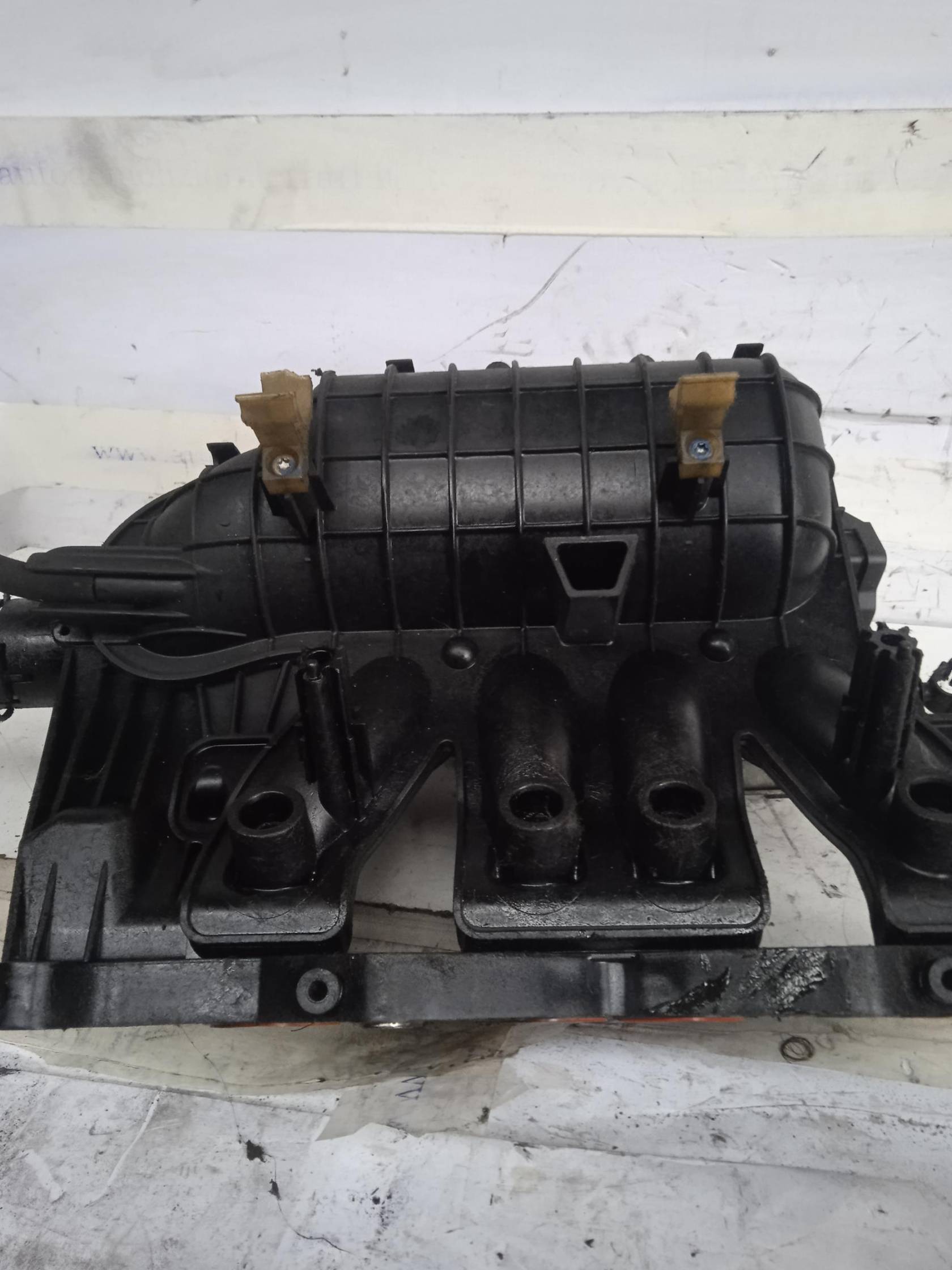 Collettore aspirazione